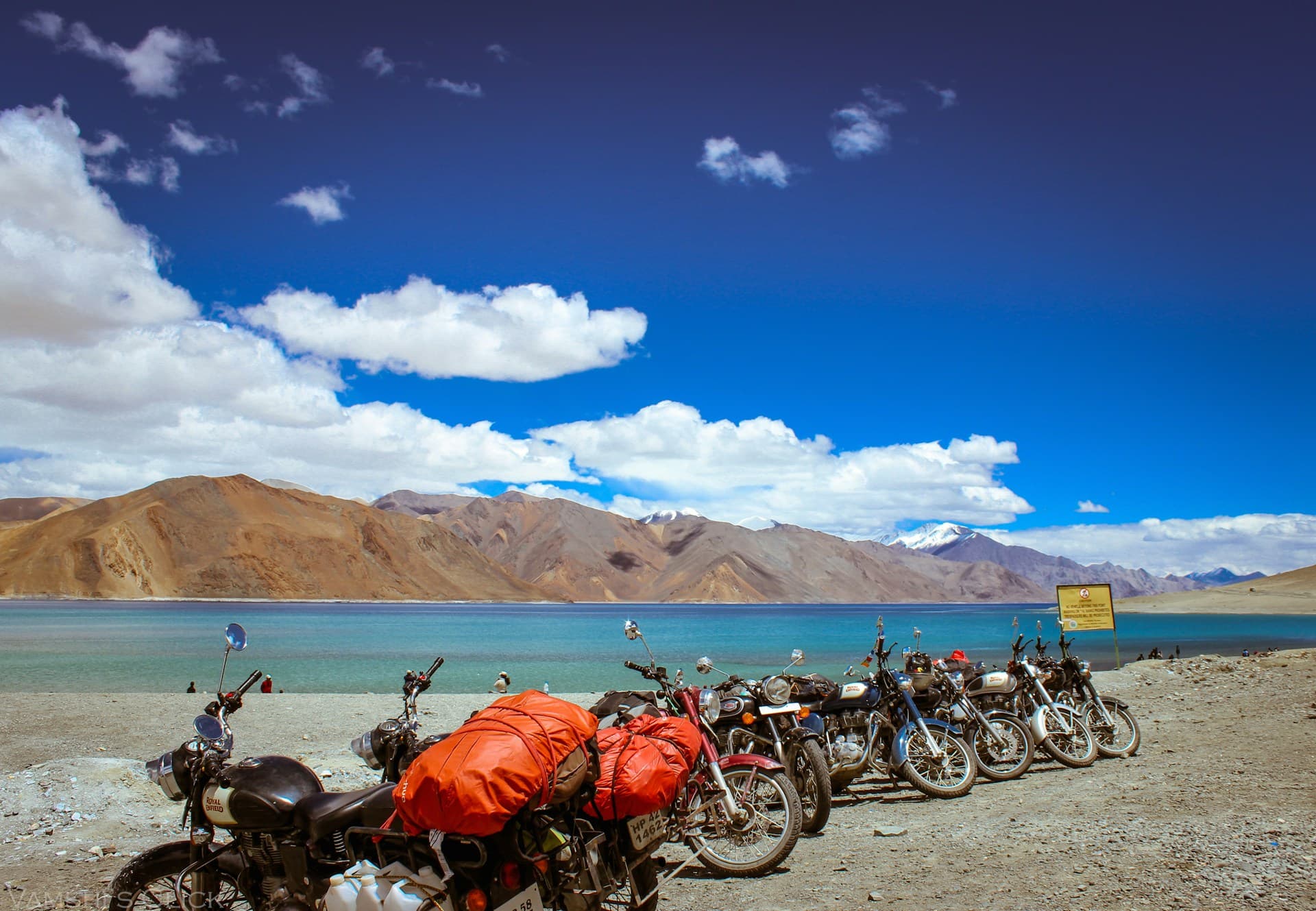 Leh Ladakh & Pangong